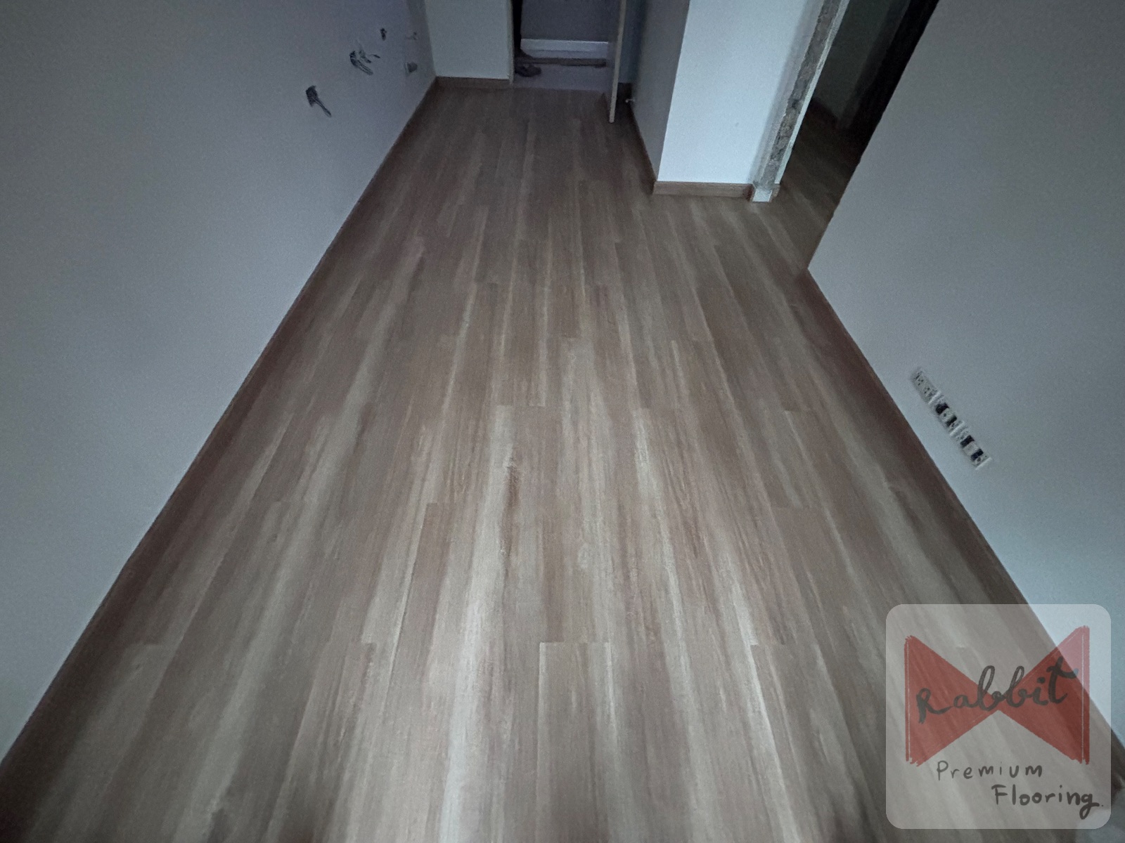 SPC-Cotto โลเซีย