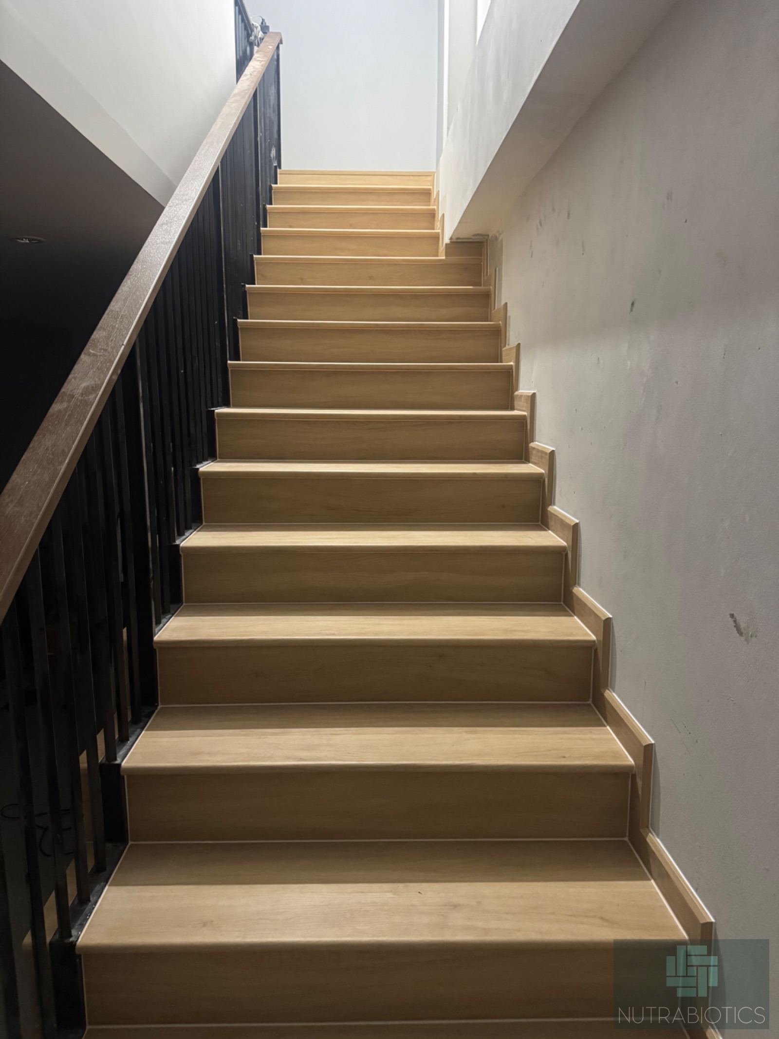 SPC-Rabbit ก้างปลา ลาเต้2