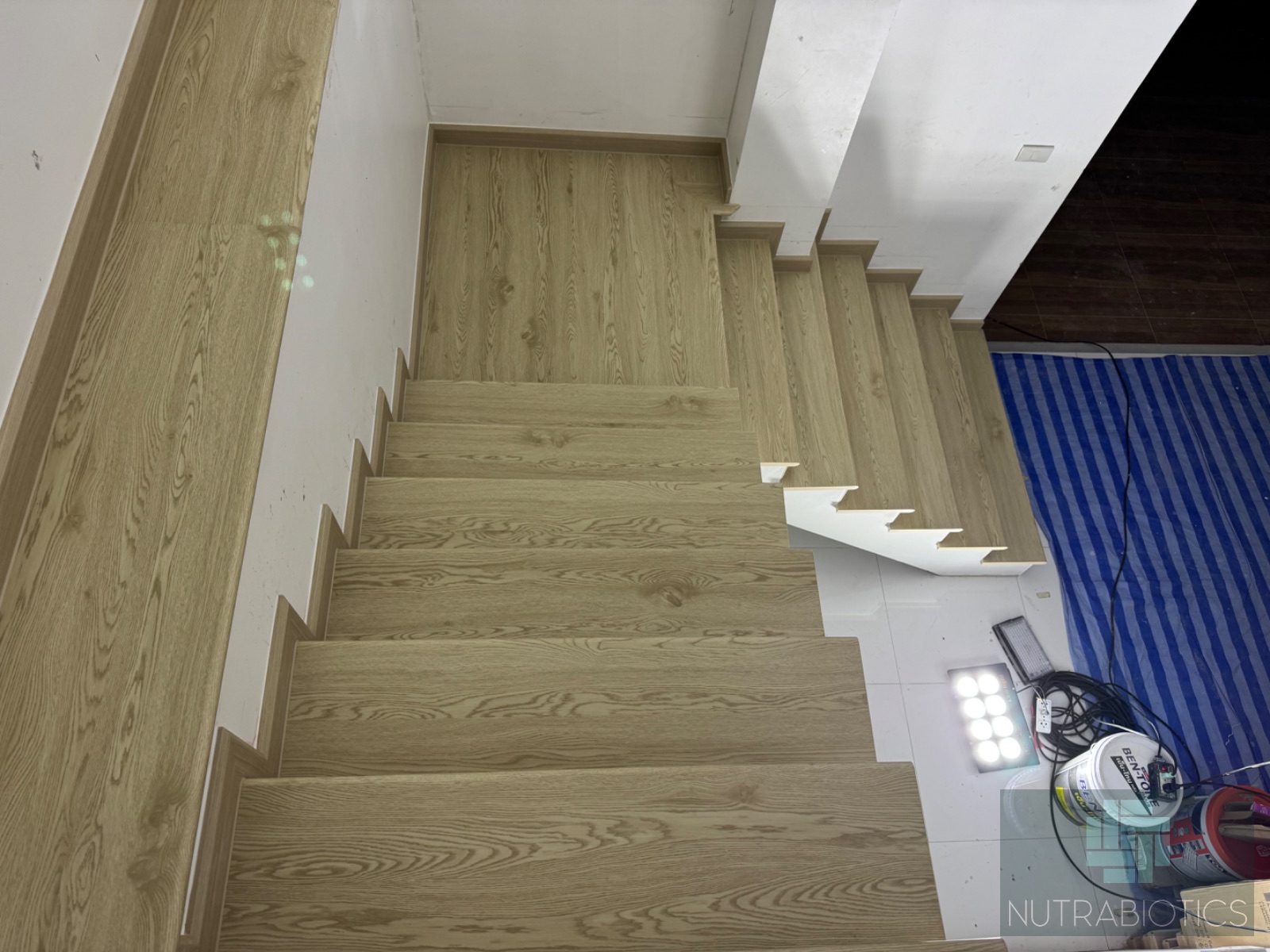 SPC-Rabbit คาปูชิโน