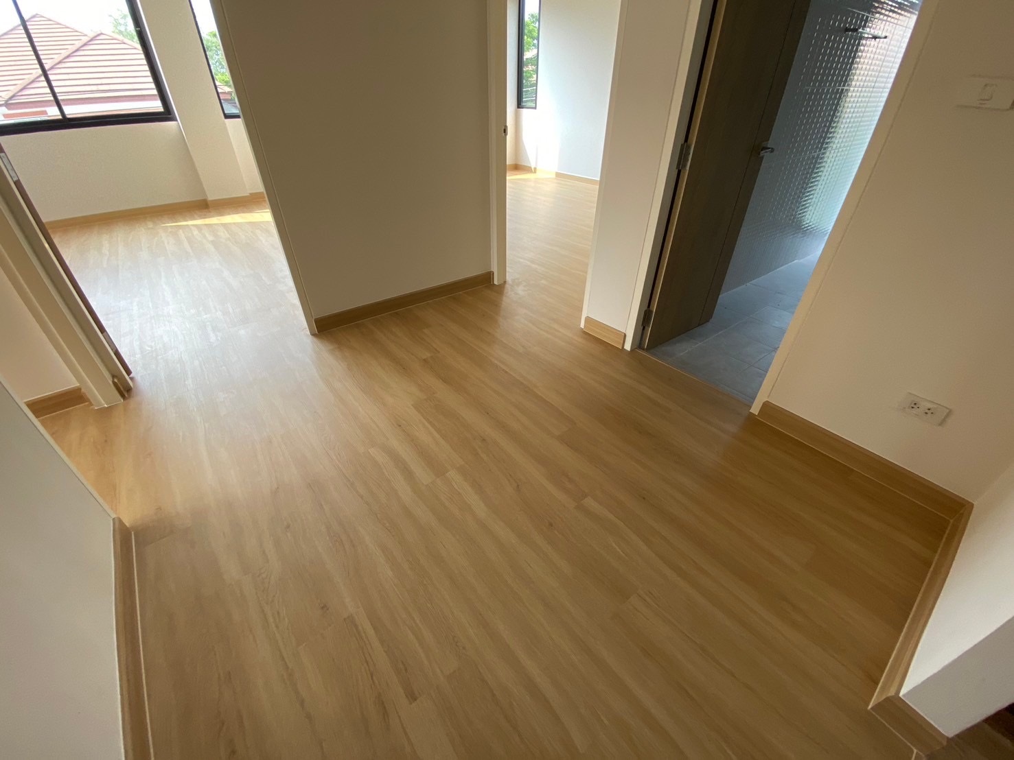 SPC-Rabbit ลาเต้