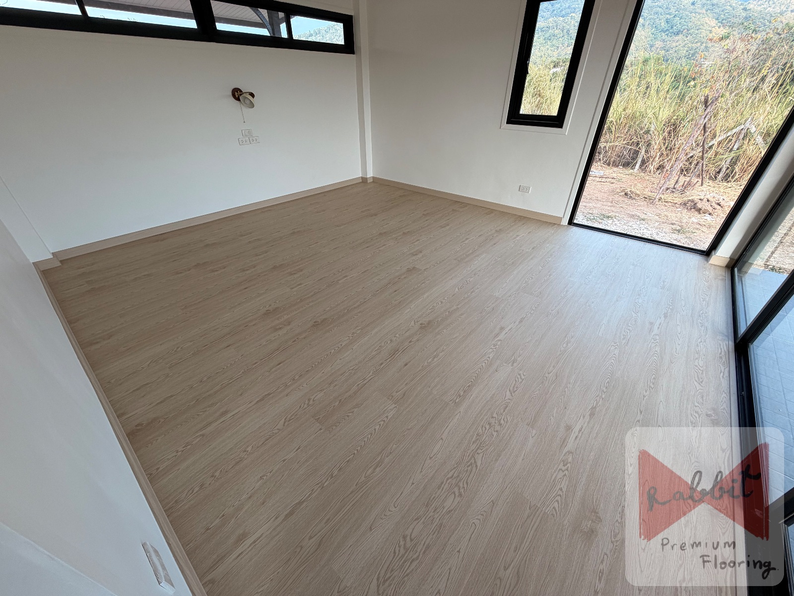 SPC-Rabbit ลาเต้