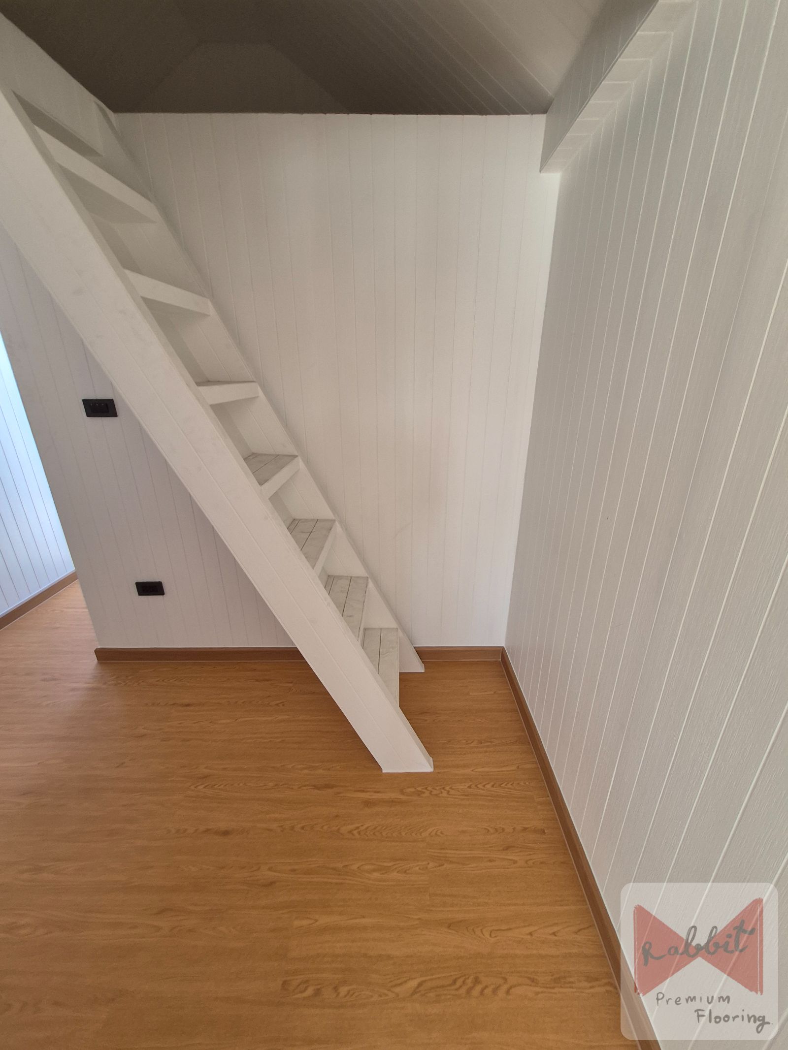 SPC-Rabbit อัสสัมที