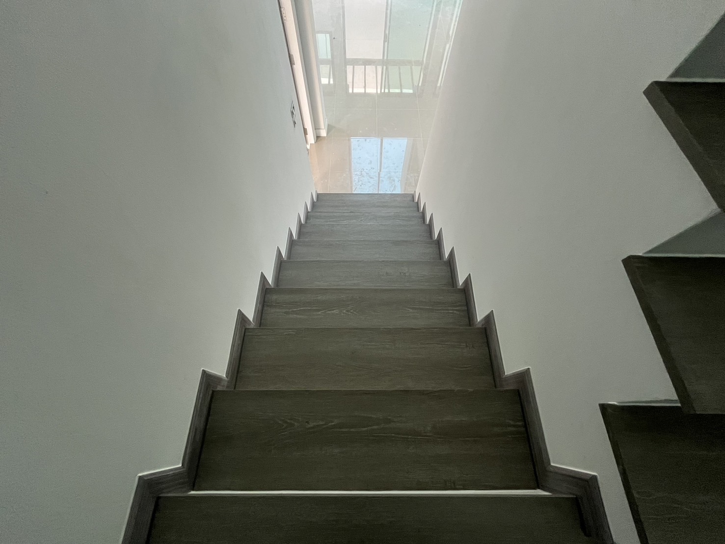 SPC-Rabbit อเมริกาโน่